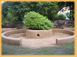 Planta Sagrada Vrinda Devi